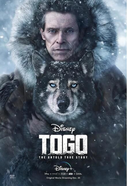2019高分美國電影 多哥 Togo 威廉·達福 / 朱麗安妮·尼科爾森 英語中字 盒裝1碟 2019高分美國電影 多哥 Togo 威廉·達福 / 朱麗安妮·尼科爾森 英語中字 盒裝1碟