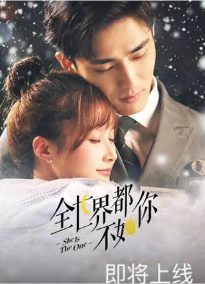 2021大陸劇【全世界都不如你】【李諾/裴子添】清晰4碟完整版 2021大陸劇【全世界都不如你】【李諾/裴子添】清晰4碟完整版