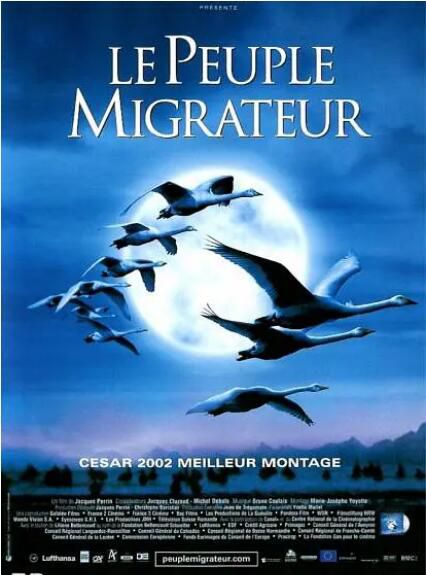 2001高分紀錄片《鳥與夢飛行/遷徙的鳥》雅克·貝漢.中英雙字