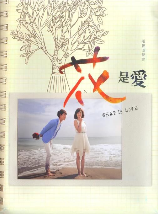 2012台劇《花是愛/What is love》吳慷仁/周幼婷 國語中字 4碟 2012台劇《花是愛/What is love》吳慷仁/周幼婷 國語中字 4碟