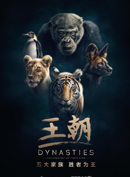 2018記錄片【王朝 Dynasties 】【英語中字】清晰2碟