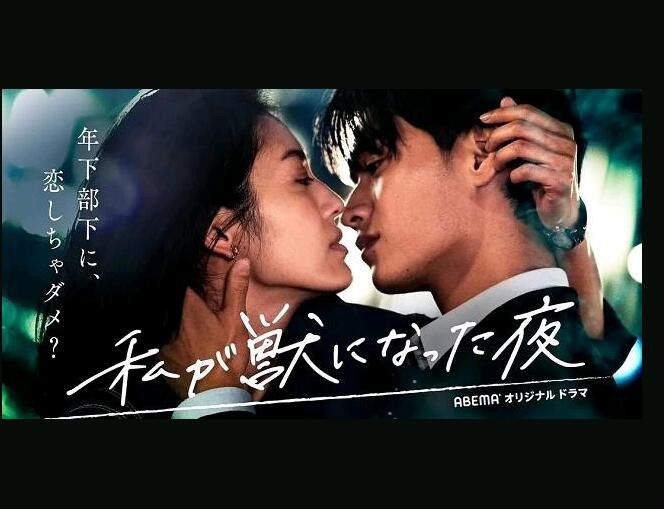 2022日劇 我變成野獸的夜晚 1-3季 2021-2022年日劇 3碟 2022日劇 我變成野獸的夜晚 1-3季 2021-2022年日劇 3碟