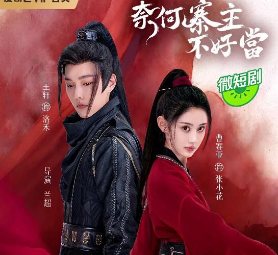 2023大陸劇《奈何寨主不好當》曹賽亞 國語中字 3碟 2023大陸劇《奈何寨主不好當》曹賽亞 國語中字 3碟