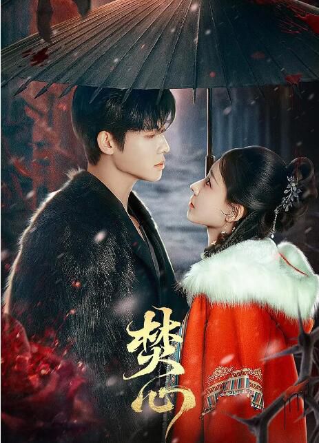 2025大陸劇《焚心/夜迷人》代高政/何適 國語中字 盒裝2碟