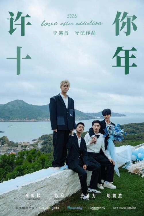 2026大陸劇《許你十年/Love After Addiction》林楓松/陳穩 國語中字 盒裝2碟