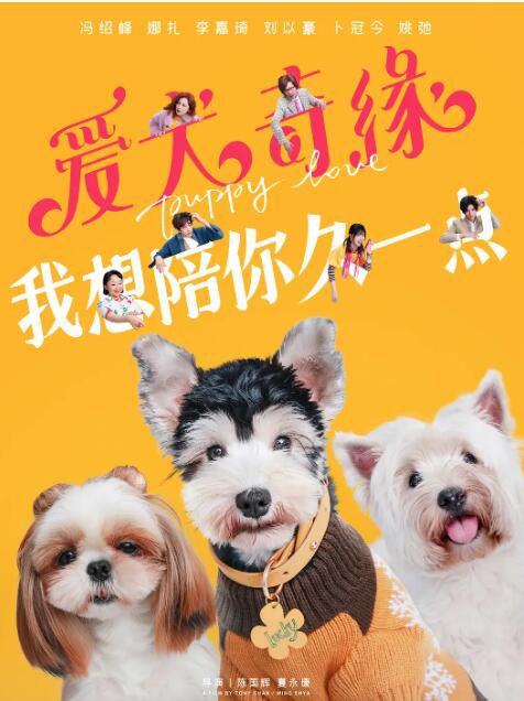 2023大陸電影《愛犬奇緣/Puppy Love》馮紹峰/古力娜紮 國語中字 盒裝1碟 2023大陸電影《愛犬奇緣/Puppy Love》馮紹峰/古力娜紮 國語中字 盒裝1碟