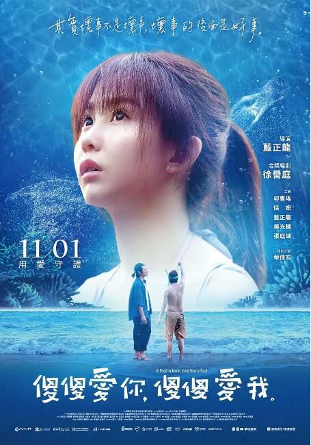 2019台灣電影《傻傻愛你,傻傻愛我》郭書瑤 國語中字 盒裝1碟 2019台灣電影《傻傻愛你,傻傻愛我》郭書瑤 國語中字 盒裝1碟