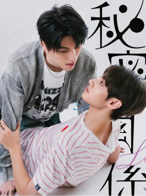 2025台劇 秘密關系/秘密關係/怎麽可能高潮了就結束 王君豪/成晞 國語中字 盒裝2碟