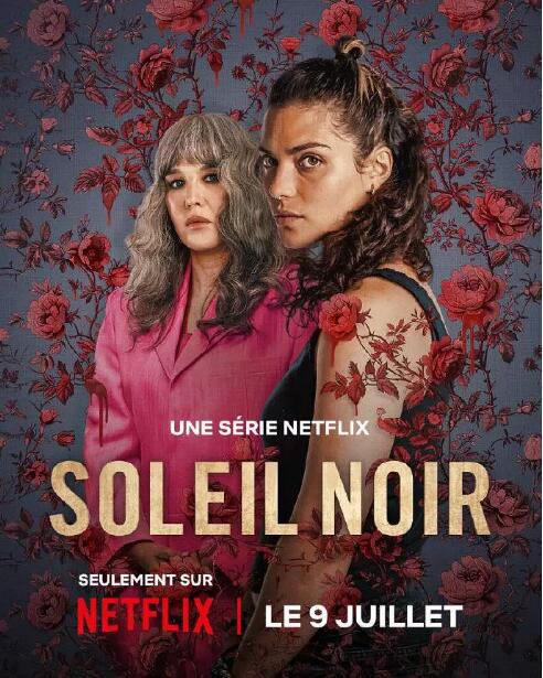 2025法劇 暗陽之下/Under a Dark Sun DVD高清 法語中字 全新盒裝2碟