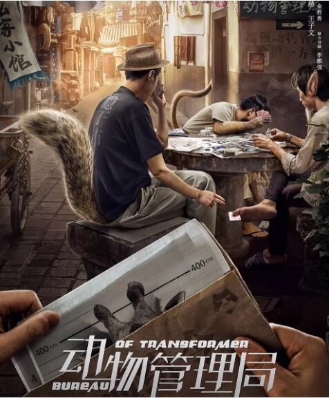大陸劇 動物管理局 DVD 陳赫/王子文 高清盒裝3碟 大陸劇 動物管理局 DVD 陳赫/王子文 高清盒裝3碟