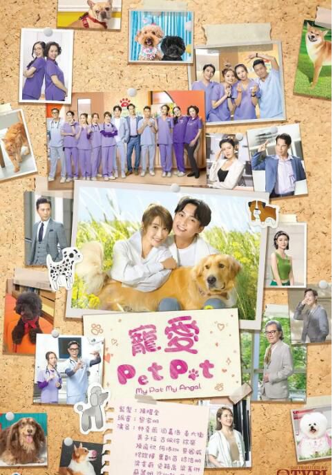 2023港劇 寵愛Pet Pet/寵愛/My Pet My Angal 周嘉洛/林夏薇 國語中字 4碟