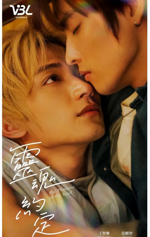 2025台劇 靈魂約定/夏日午後的老人茶/靈魂的約定 王智騫/範麒智 國語中字 盒裝2碟