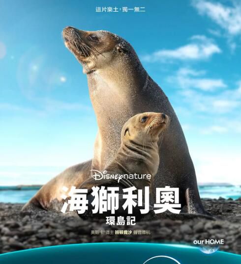 2025美國紀錄片《海獅利奧環島記》布蘭登·費舍 英語中字 盒裝1碟