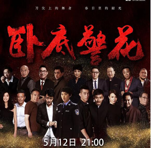 2023大陸劇 臥底警花 鄒元清/魯諾 高清盒裝5碟 2023大陸劇 臥底警花 鄒元清/魯諾 高清盒裝5碟
