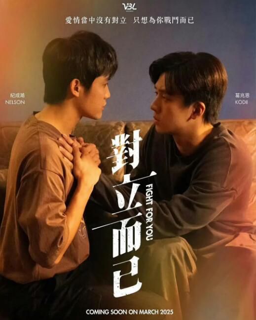 2025台劇《對立而已/VBL Series》葛兆恩/紀成澔 國語中字 盒裝2碟