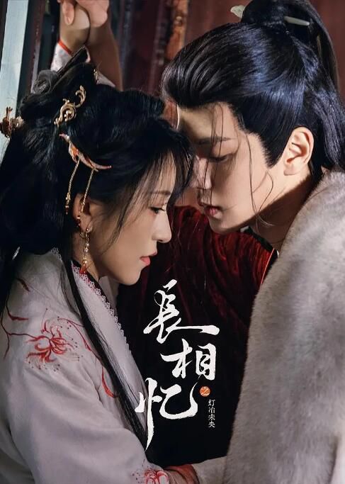 2025大陸劇 長相憶之燈冶未央/長相憶 金子璇/潘毅鴻 國語中字 盒裝2碟
