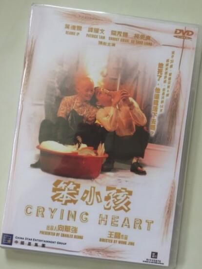 電影 笨小孩 香港經典感人淚下的親情片 絕版DVD收藏版 葉德嫻/譚耀文