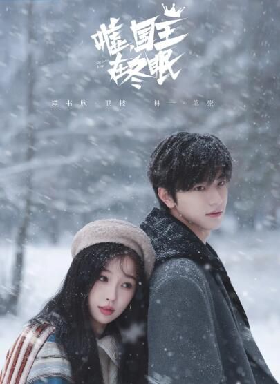 2025大陸劇 噓，國王在冬眠 虞書欣/林一 高清盒裝5碟