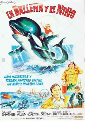 1977美國電影 殺人鯨 國語無字幕 DVD 1977美國電影 殺人鯨 國語無字幕 DVD