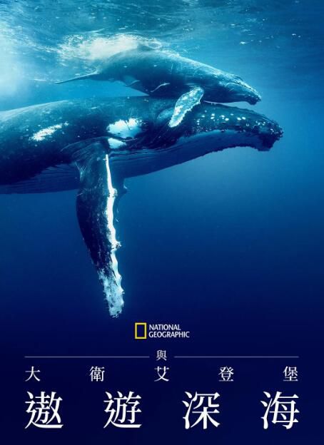 2025英國紀錄片《大衛·愛登堡：海洋》大衛·愛登堡 英語中字 盒裝1碟