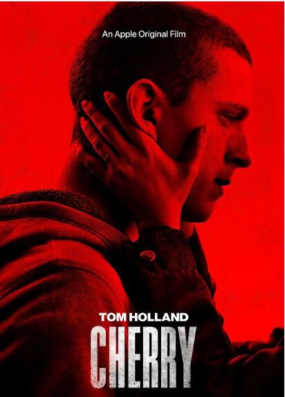 2021荷蘭弟犯罪劇情電影《謝里》湯姆·赫蘭德.英語中英雙字