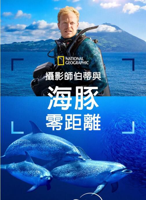 2025美國紀錄片《攝影師貝爾蒂與海豚零距離/攝影師伯蒂與海豚零距離》英語中字 盒裝1碟 2025美國紀錄片《攝影師貝爾蒂與海豚零距離/攝影師伯蒂與海豚零距離》英語中字 盒裝1碟