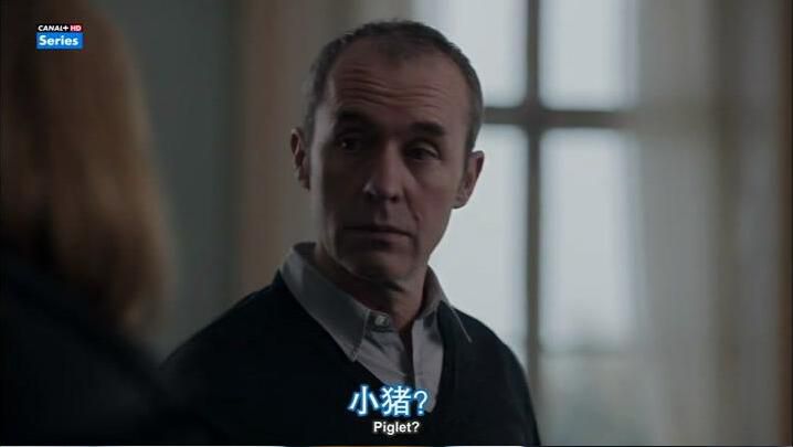 2016英國法國合拍懸疑劇DVD:隧道謎案 第二季/邊隧謎案 第二季 2016英國法國合拍懸疑劇DVD:隧道謎案 第二季/邊隧謎案 第二季