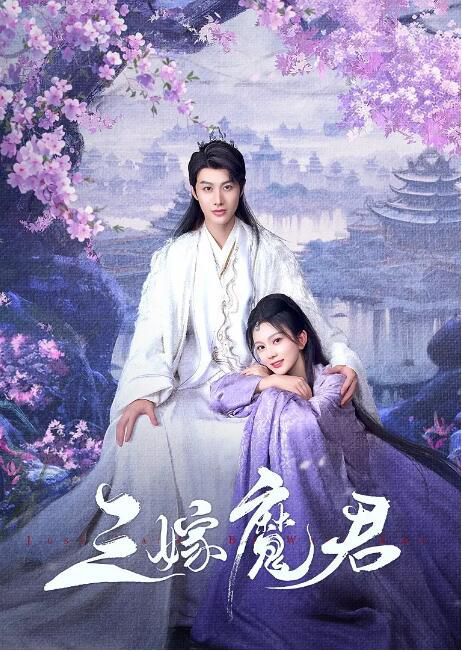 2025大陸劇《三嫁魔君/一念三千/三嫁冥君》國語中字 盒裝2碟