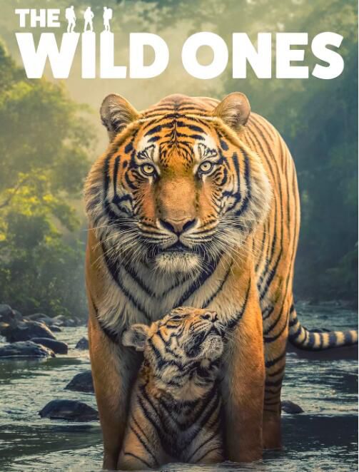 2025英國紀錄片《野性生靈/Endangered Planet》英語中字 盒裝2碟