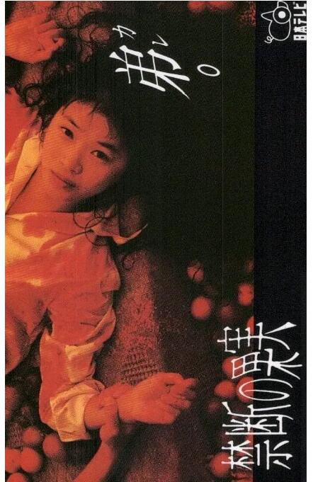 1994日劇 禁斷的果實/禁果 田中美佐子 全13回 日語中字 3碟 