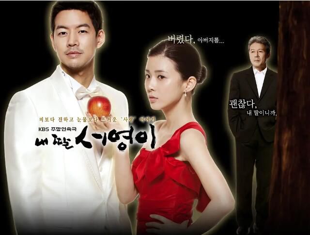 2012韓劇 我的女兒瑞英/我的女兒素英 DVD 李寶英/樸海鎮 全新 盒裝 12碟 2012韓劇 我的女兒瑞英/我的女兒素英 DVD 李寶英/樸海鎮 全新 盒裝 12碟