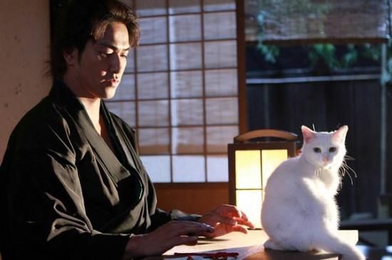 日劇 貓侍 第一季 北村一輝 日語中字 盒裝2碟 日劇 貓侍 第一季 北村一輝 日語中字 盒裝2碟