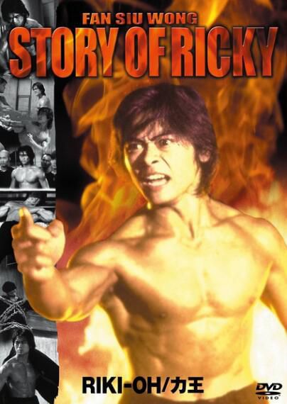 1992香港電影 力王 藍乃才/樊少皇 粵語中字 盒裝1碟 1992香港電影 力王 藍乃才/樊少皇 粵語中字 盒裝1碟