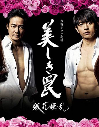 美人圈套/殘花繚亂/美麗陷阱(田中麗奈 若村麻由美)2015 美人圈套/殘花繚亂/美麗陷阱(田中麗奈 若村麻由美)2015