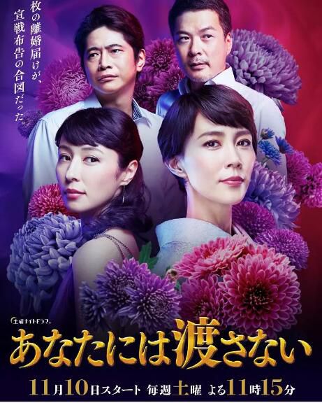 日劇 絕不交給你/我不會讓給你 木村佳乃/水野美紀 高清盒裝3碟 日劇 絕不交給你/我不會讓給你 木村佳乃/水野美紀 高清盒裝3碟