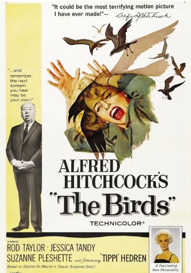 1963高分懸疑驚悚《群鳥/鳥》蒂比·海德莉.英語中英雙字