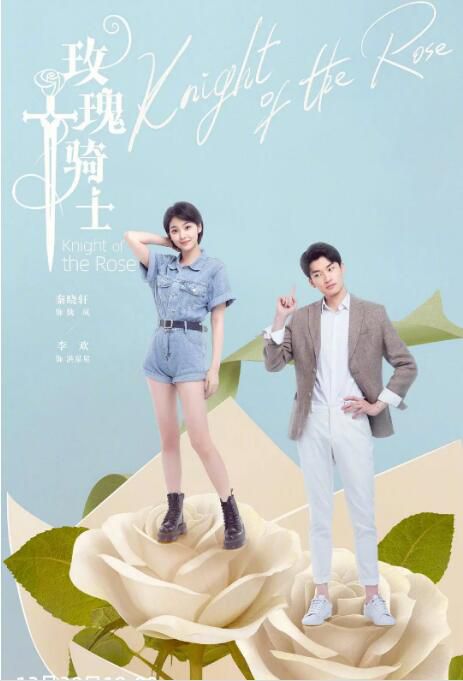 2022大陸劇 玫瑰騎士 李淑婷/秦曉軒 國語中字 6碟 2022大陸劇 玫瑰騎士 李淑婷/秦曉軒 國語中字 6碟