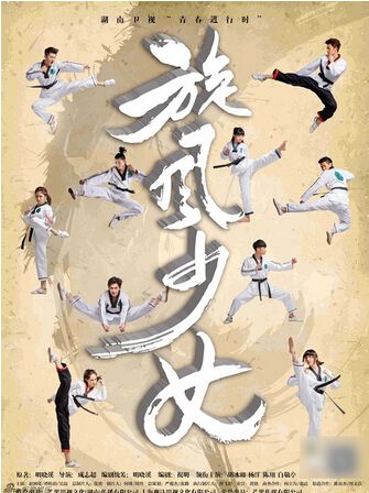 2015大陸劇【旋風少女/旋風百草】【胡冰卿/楊洋】6碟完結版 2015大陸劇【旋風少女/旋風百草】【胡冰卿/楊洋】6碟完結版