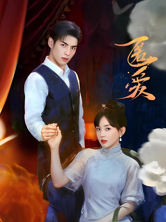 2025大陸劇《匿愛》文淵/盧夢琳 國語中字 盒裝1碟