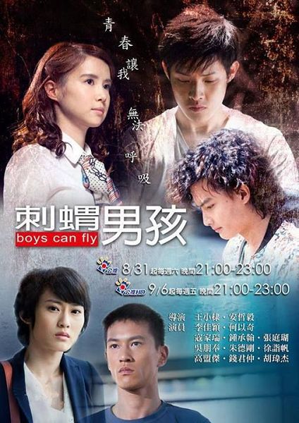 台劇【刺猬男孩】【何以奇 李佳穎】【國語中字】清晰4碟 台劇【刺猬男孩】【何以奇 李佳穎】【國語中字】清晰4碟