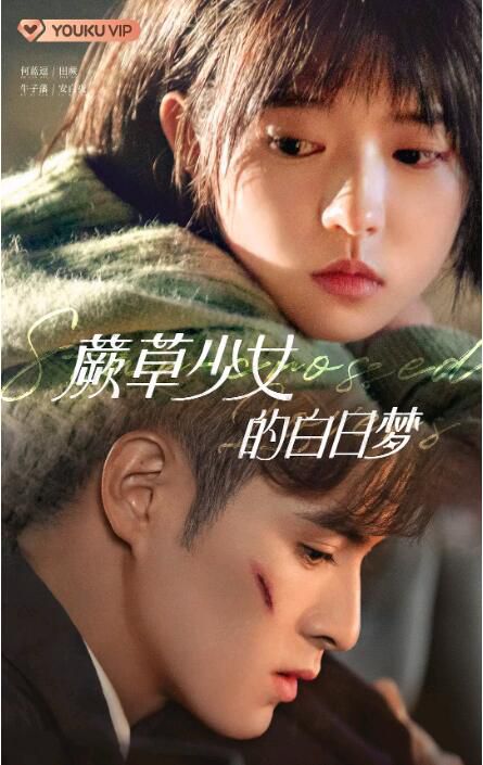 2022大陸劇【蕨草少女的白日夢/非正常少女的白日夢/星海薔薇】【何藍逗/牛子藩】4碟 2022大陸劇【蕨草少女的白日夢/非正常少女的白日夢/星海薔薇】【何藍逗/牛子藩】4碟