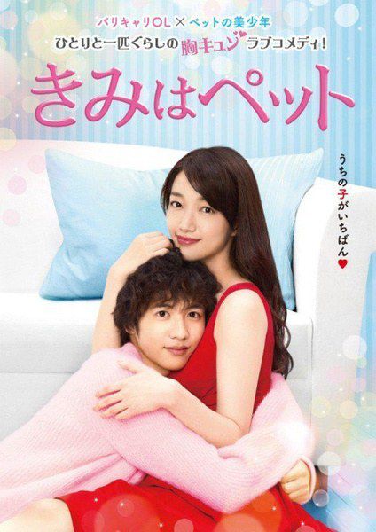 2017日劇 寵物情人/寵物愛人 入山法子/誌尊淳 日語中字 盒裝3碟 2017日劇 寵物情人/寵物愛人 入山法子/誌尊淳 日語中字 盒裝3碟