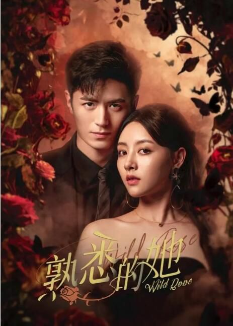 2025大陸劇《熟悉的她》李九霖/朱近桐 國語中字 盒裝4碟 2025大陸劇《熟悉的她》李九霖/朱近桐 國語中字 盒裝4碟