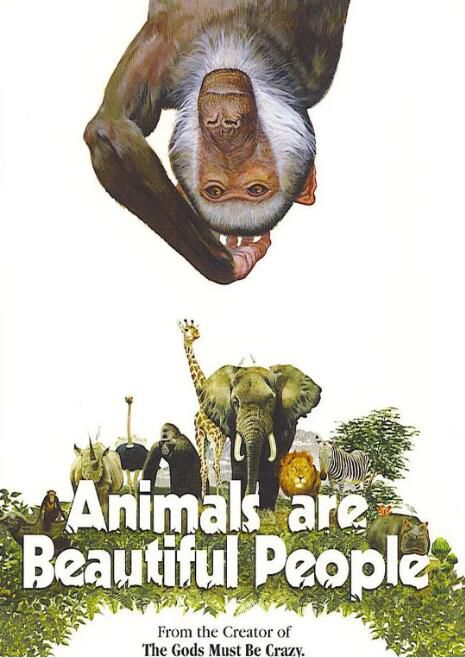 1974高分南非電影 可愛的動物/美好的人民/Animals Are Beautiful People 歷蘇 英語中字 盒裝1碟