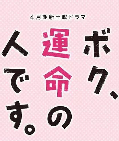 2017日劇 真命天菜/命中註定你愛我/我命中註定的人 龜梨和也/山下智久 日語中字 盒裝2碟