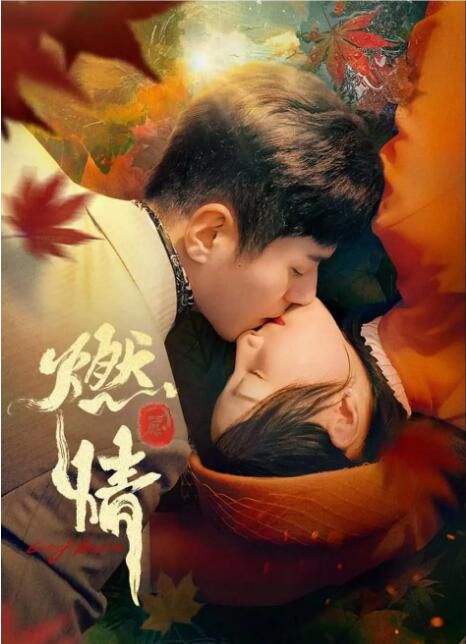 2025大陸劇《燃情》李九霖/朱近桐 國語中字 盒裝2碟