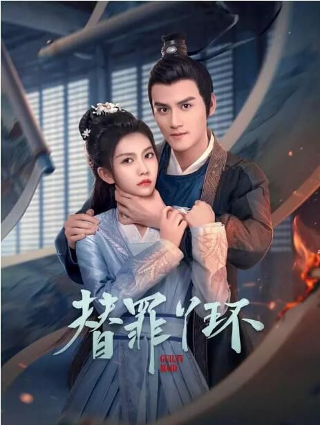 2025大陸劇《替罪丫鬟》賀靈榣/李璟羿 國語中字 盒裝2碟