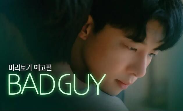 2024韓劇 壞家夥 Bad Guy 韓語中字 盒裝1碟 2024韓劇 壞家夥 Bad Guy 韓語中字 盒裝1碟