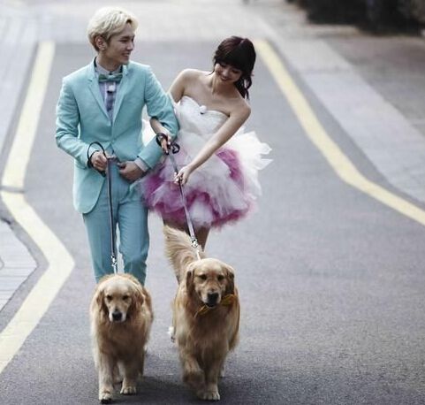 我們結婚了 吸血夫婦 積木夫婦 金希澈 郭雪芙 八木 金基範 5DVD 我們結婚了 吸血夫婦 積木夫婦 金希澈 郭雪芙 八木 金基範 5DVD