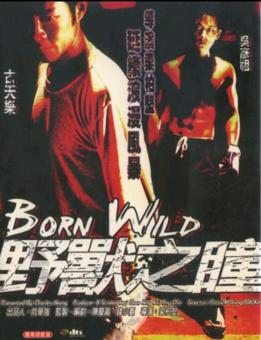 野獸之瞳/Born Wild DVD收藏版 古天樂/吳彥祖